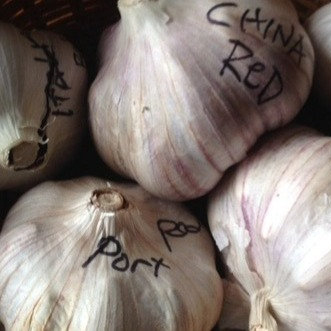 Garlic class at Community Seed Exchange