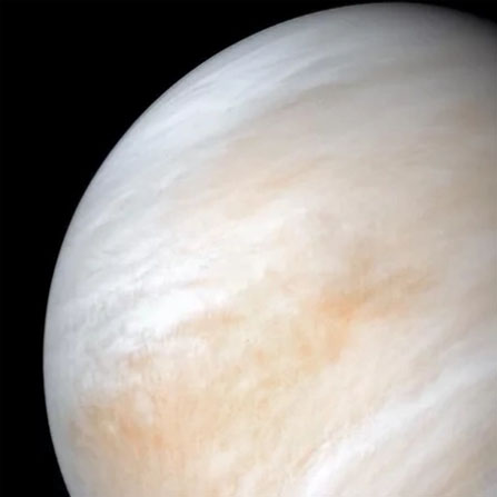 Venus Focus Night at Ferguson Observatory