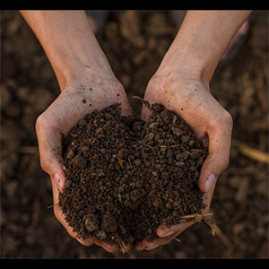 Soil testing class at Bees n Blooms