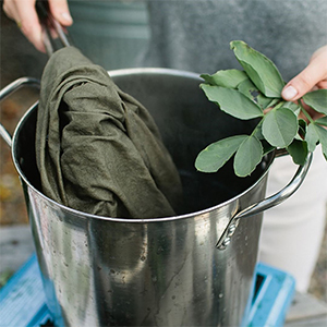 Introduction to Natural Dyeing class at Fiber Circle Studio in Petaluma