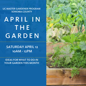 April in the garden workshop
