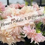 Dahlia Workshop at Heritage Farm in Cotati.