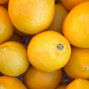 Marmalade making class at Godridge farm