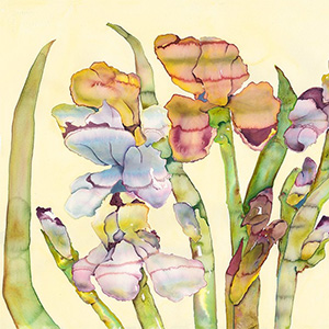 Watercolor Wednesdays at Sebastopol Center for the Arts